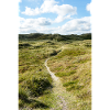 Dune Trail in Søndervig, Denmark