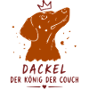 Dackel König der Couch