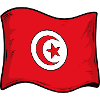 Tunisische Flagge 