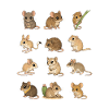 Souris du Monde Mignonne