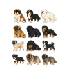 Berghunderassen süße Welpen Hunde