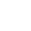 Schopenhauer sarcastic quote