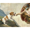 Dog God Hand Beagle Dog meme