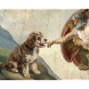 Mème Caniche Main, Chien Dieu