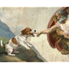 Dog God Hand Beagle Dog meme
