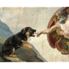 Dog God's Hand Shepherd Dog Meme