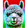 Alpaca