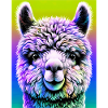 Alpaca
