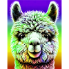 Alpaca