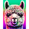 Alpaca