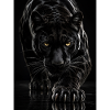 Black Shadow Panther