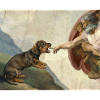 Mème de Chien Dieu Main Teckel