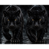 Twin Black Panthers