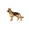 German Shepherd. Retro Style