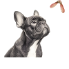French Bulldog Nature Motif Gift