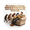 Sofa evolution: monkeys and snack
