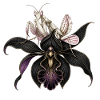 Orchideen-Gottesanbeterin & Schwarze Orchidee