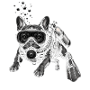 French bulldog as diver underwater