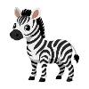 Bébé zèbre