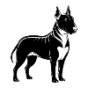 Bull Terriers