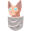 Sphynx