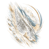 Falknerei Falkner