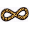 Leopard Infinity Symbol