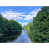Tranquil River Amid Verdant Trees