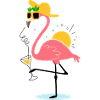 Flamingo Summer Design – Tropical vibe