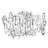 Munich Graffiti Hip_Hop