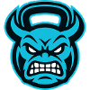 Strength Sports Kettlebell Icon