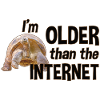 I'm older than the Internet - Turtle