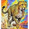 cheetah