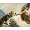 Dog God Hand Beagle Dog meme