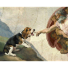 Dog God Hand Beagle Dog meme