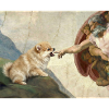 Dog God Hand Pomeranian Dog meme