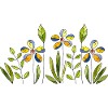 Fleur