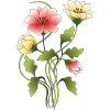 Fleur