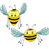 Insects