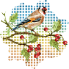 Bunter Vogel