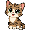 Cute Cat