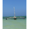 Shipwrecks over the blue sea