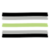 Agender Pride Flag