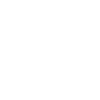 Birds Not Real Meme