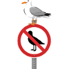Seagull rebels against prohibition sign funnier