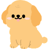 Sunny Golden Retriever Pup 