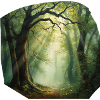 Light trail in the forest