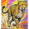 cheetah