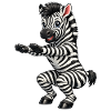 Zebra does squat