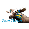 Meine Therapie Schwedenmoose